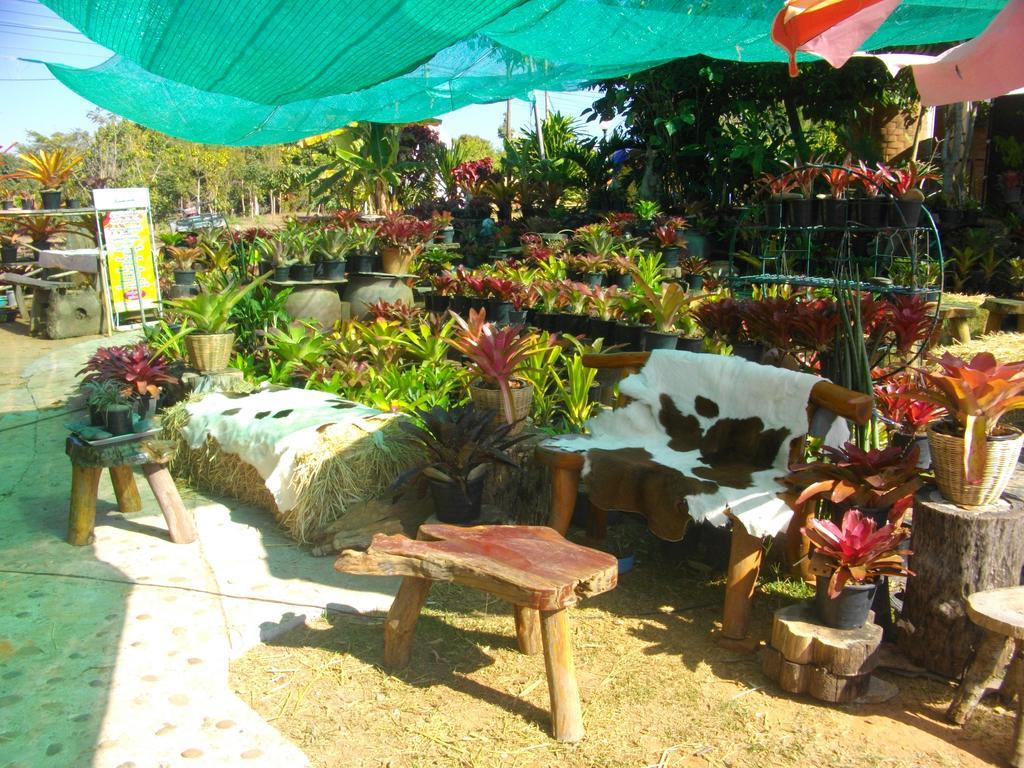 Indian View Hotel Khao Kho Ngoại thất bức ảnh